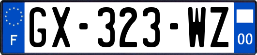 GX-323-WZ