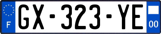 GX-323-YE