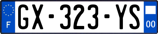 GX-323-YS