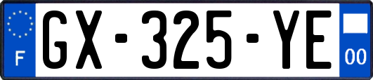 GX-325-YE