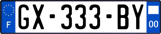 GX-333-BY