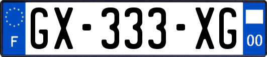 GX-333-XG