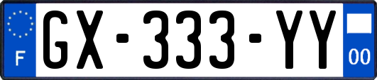 GX-333-YY
