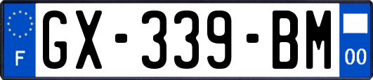 GX-339-BM