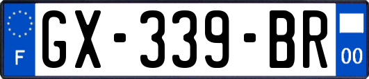 GX-339-BR