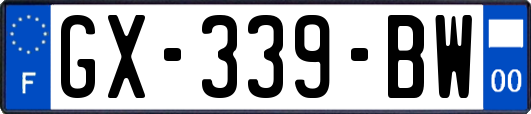 GX-339-BW