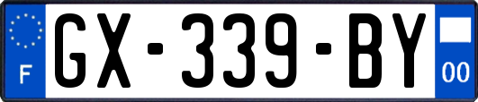 GX-339-BY