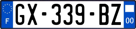 GX-339-BZ