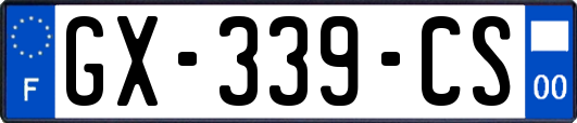 GX-339-CS