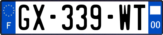 GX-339-WT