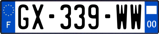 GX-339-WW
