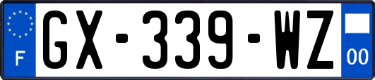 GX-339-WZ
