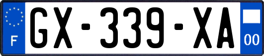 GX-339-XA