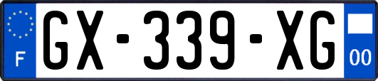 GX-339-XG