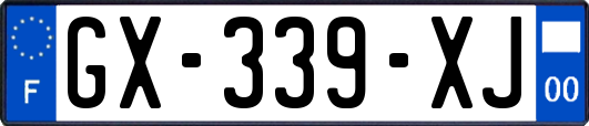 GX-339-XJ