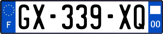 GX-339-XQ