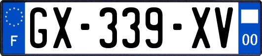 GX-339-XV