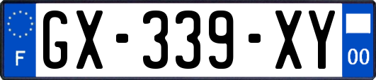 GX-339-XY
