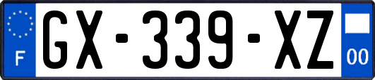 GX-339-XZ