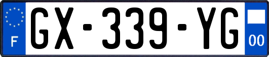 GX-339-YG