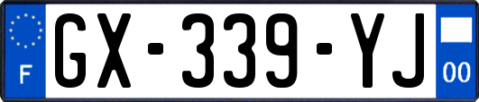 GX-339-YJ