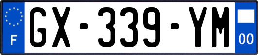 GX-339-YM