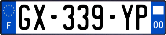 GX-339-YP