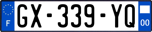 GX-339-YQ