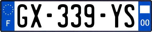GX-339-YS
