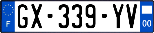 GX-339-YV