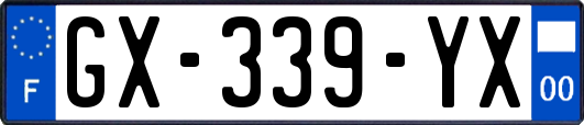 GX-339-YX
