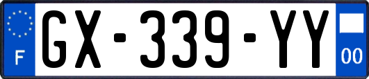 GX-339-YY