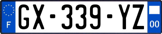 GX-339-YZ