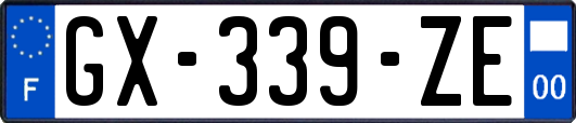 GX-339-ZE