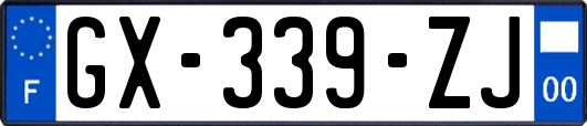 GX-339-ZJ