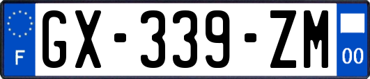 GX-339-ZM