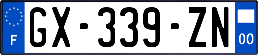 GX-339-ZN