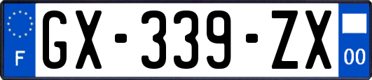 GX-339-ZX