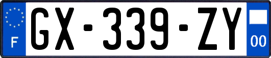 GX-339-ZY