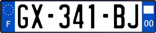 GX-341-BJ