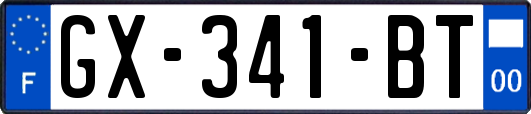 GX-341-BT