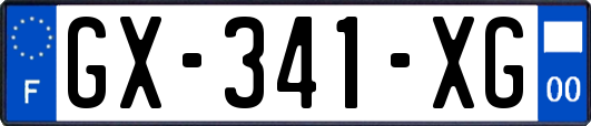 GX-341-XG