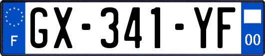 GX-341-YF