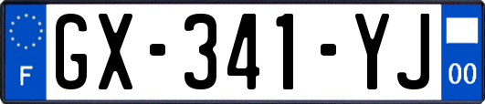 GX-341-YJ