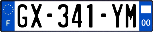 GX-341-YM