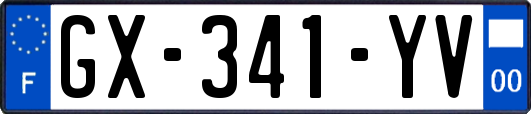 GX-341-YV
