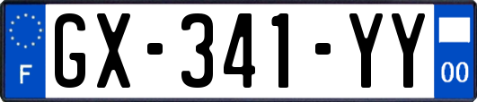 GX-341-YY