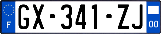 GX-341-ZJ