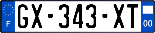 GX-343-XT