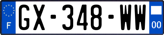 GX-348-WW